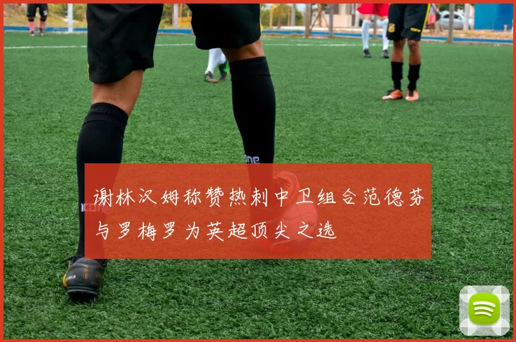 谢林汉姆称赞热刺中卫组合范德芬与罗梅罗为英超顶尖之选