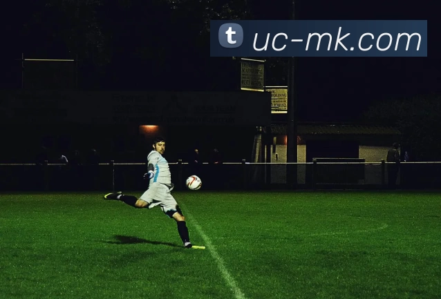 MK体育平台生态图