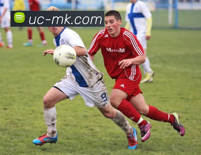 MK体育APP 封面图